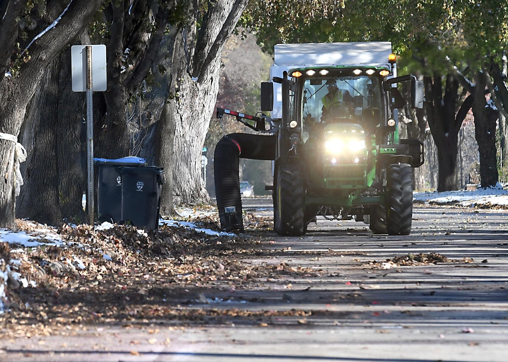 Frozen leaf pickup 3